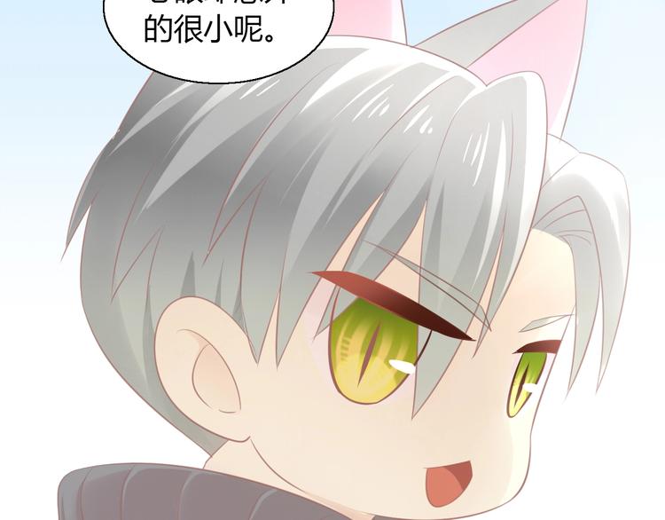 第128话 猫舍C位（四）(1/3)-第129话