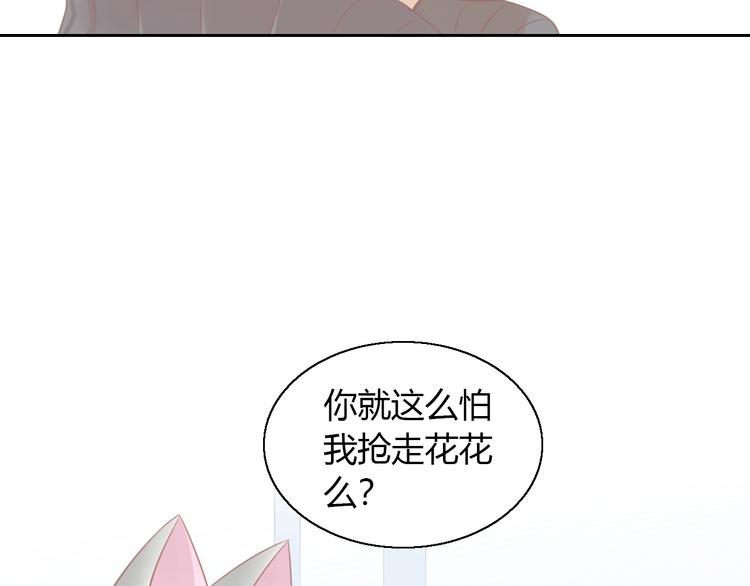 第128话 猫舍C位（四）(1/3)-第129话