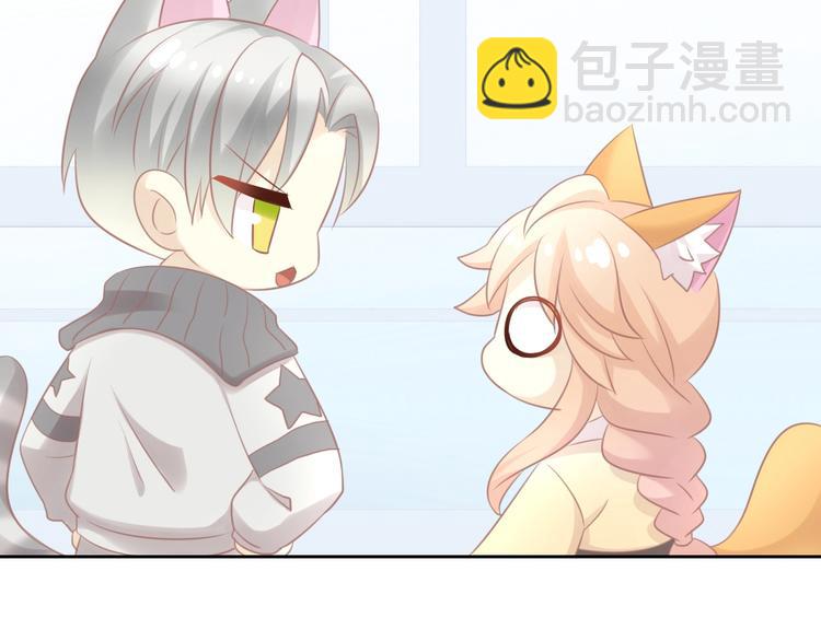 第128话 猫舍C位（四）(1/3)-第129话