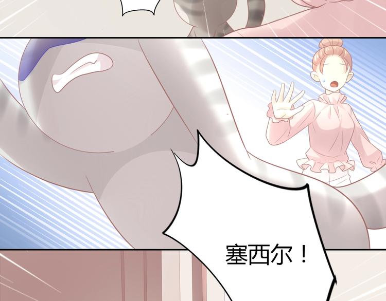 第130话 猫舍C位（六）(1/3)-第131话