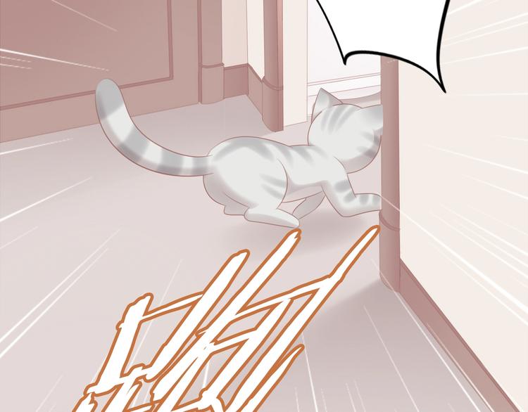 第130话 猫舍C位（六）(1/3)-第131话