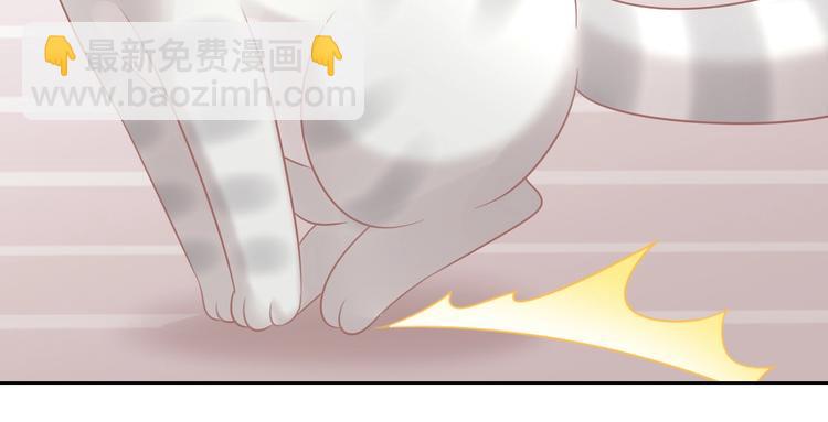 第130话 猫舍C位（六）(1/3)-第131话