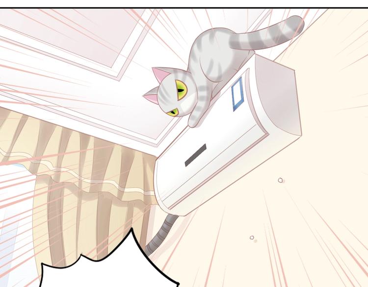 第130话 猫舍C位（六）(1/3)-第131话