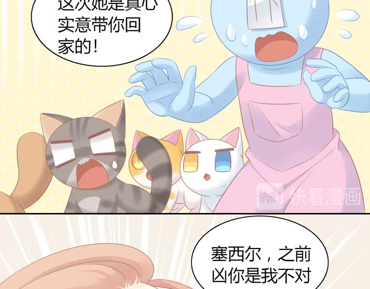 第130话 猫舍C位（六）(1/3)-第131话