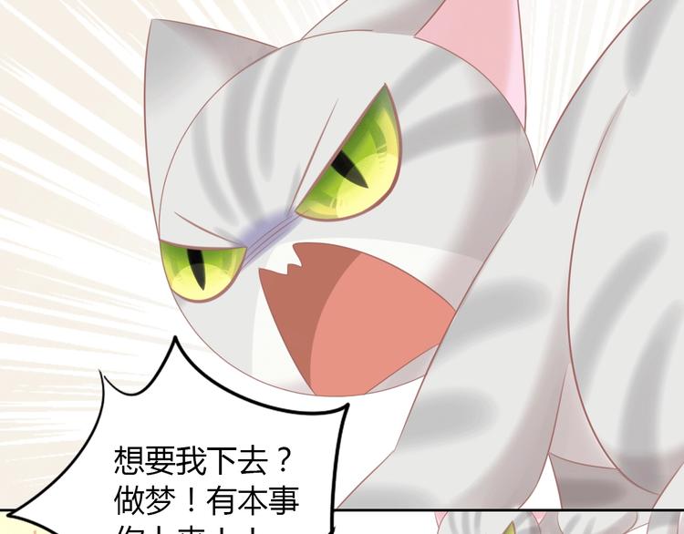 第130话 猫舍C位（六）(1/3)-第131话
