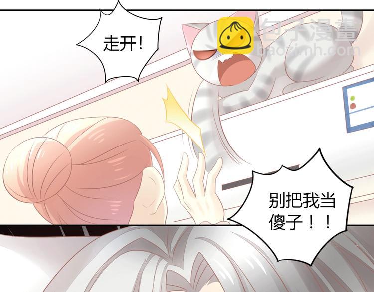 第130话 猫舍C位（六）(1/3)-第131话
