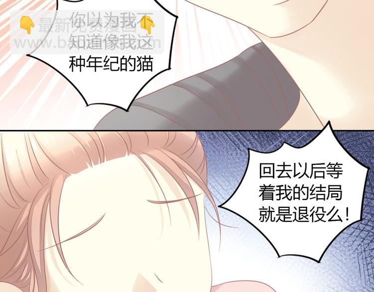 第130话 猫舍C位（六）(1/3)-第131话