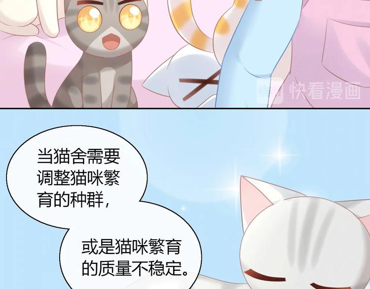 第130话 猫舍C位（六）(1/3)-第131话