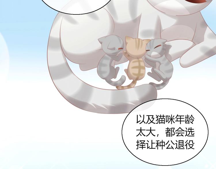第130话 猫舍C位（六）(1/3)-第131话