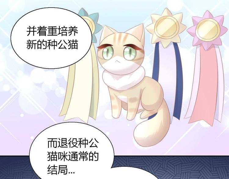 第130话 猫舍C位（六）(1/3)-第131话