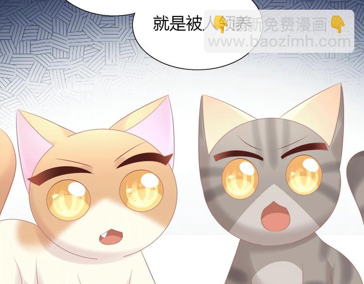 第130话 猫舍C位（六）(1/3)-第131话