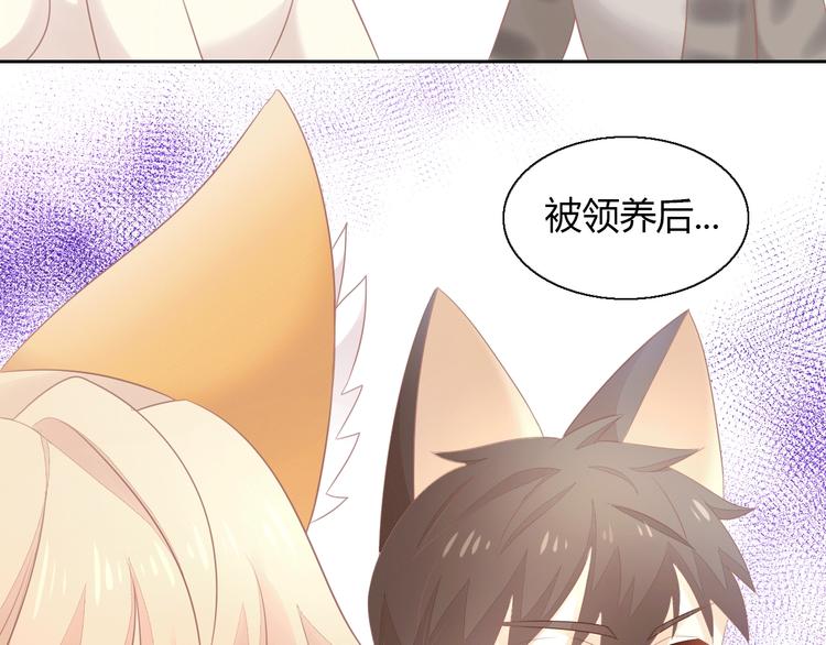 第130话 猫舍C位（六）(1/3)-第131话
