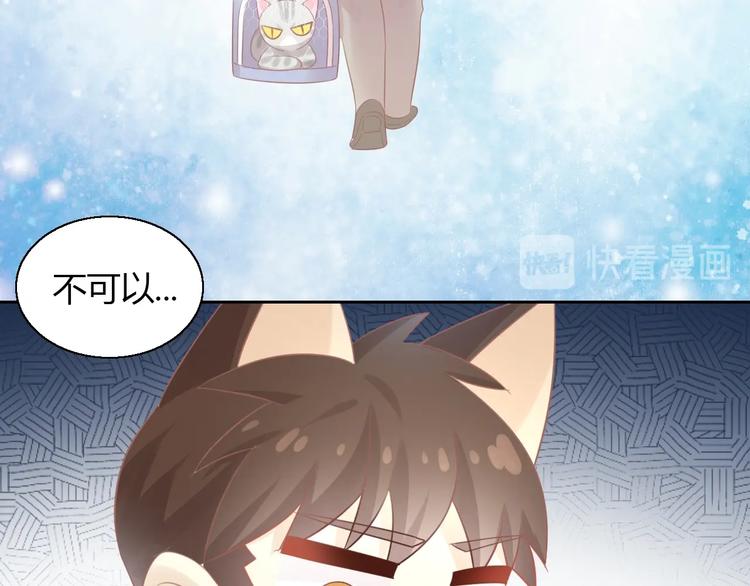 第130话 猫舍C位（六）(1/3)-第131话