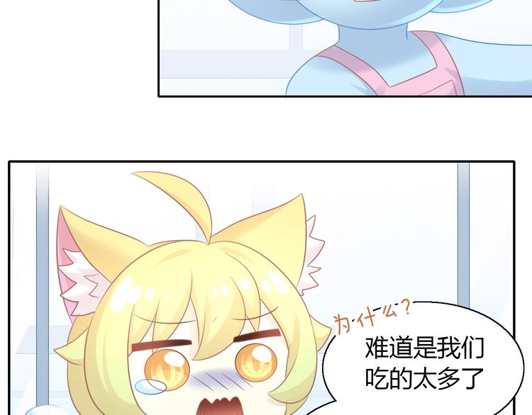 第130话 猫舍C位（六）(1/3)-第131话