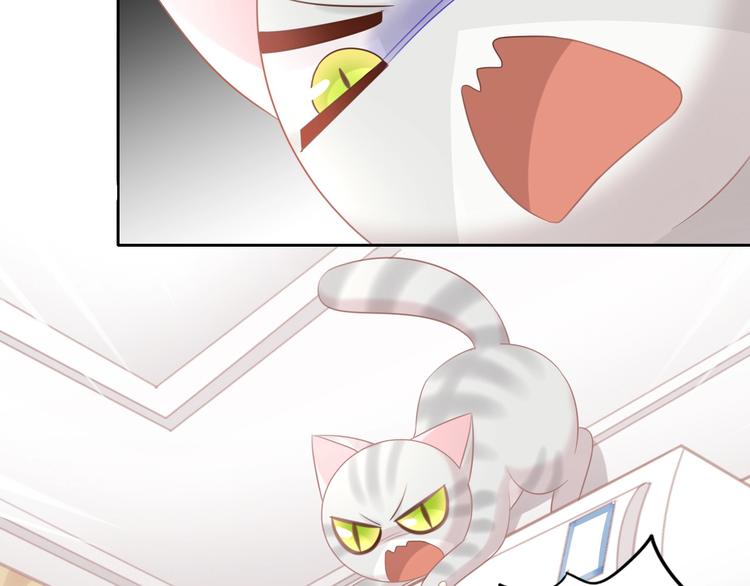 第130话 猫舍C位（六）(1/3)-第131话