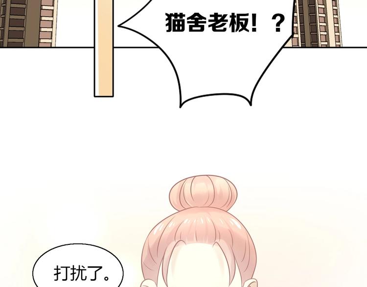 第130话 猫舍C位（六）(1/3)-第131话