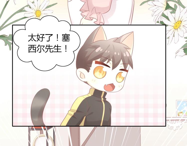 第130话 猫舍C位（六）(1/3)-第131话