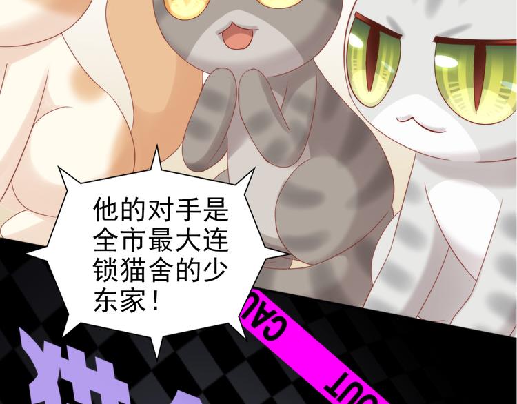 第134话  撸猫技师（二）(1/2)-第135话