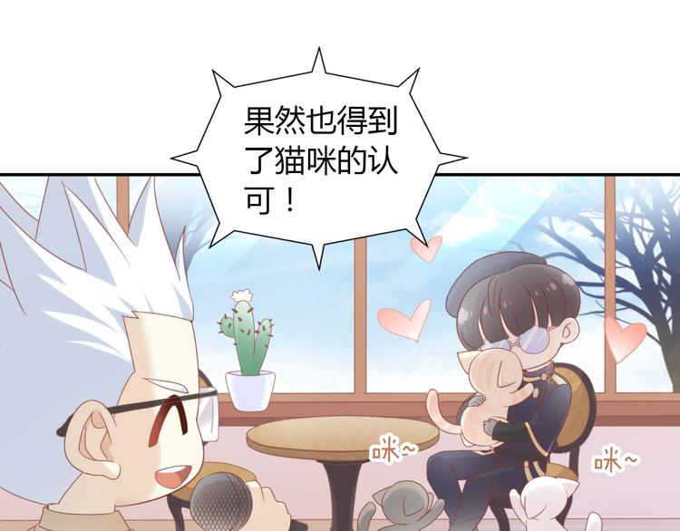 第134话  撸猫技师（二）(1/2)-第135话