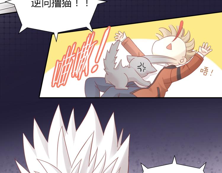 第134话  撸猫技师（二）(1/2)-第135话
