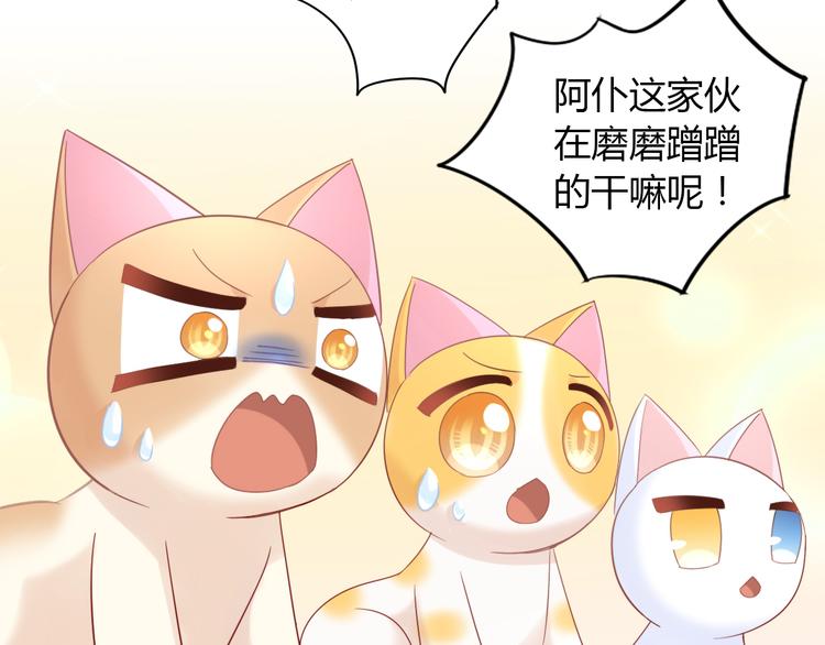 第134话  撸猫技师（二）(1/2)-第135话
