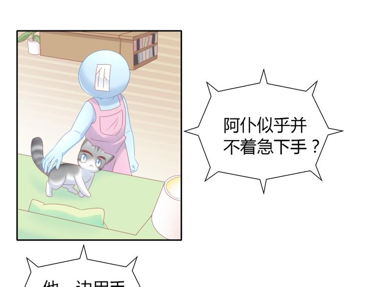 第134话  撸猫技师（二）(1/2)-第135话