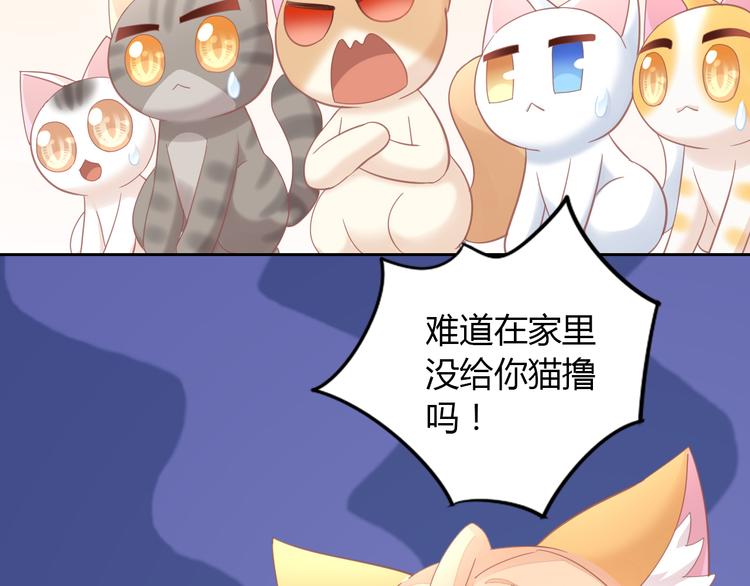 第136话 撸猫技师（四）(1/2)-第137话