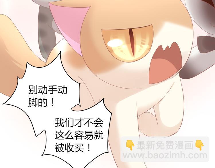 第136话 撸猫技师（四）(1/2)-第137话