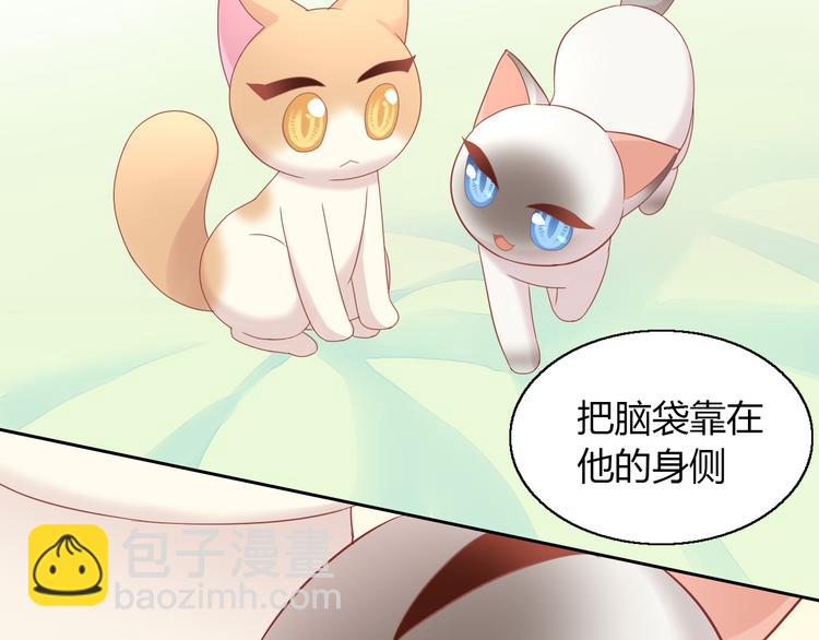 第136话 撸猫技师（四）(1/2)-第137话