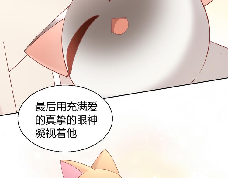 第136话 撸猫技师（四）(1/2)-第137话