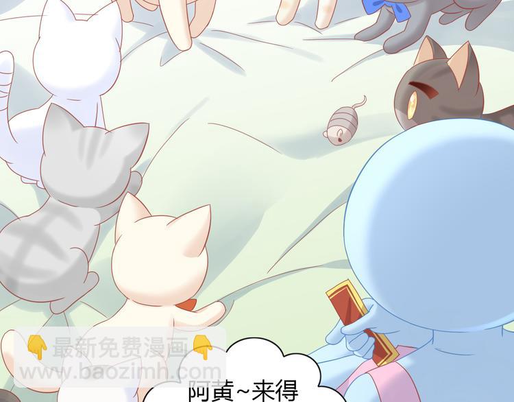第136话 撸猫技师（四）(1/2)-第137话
