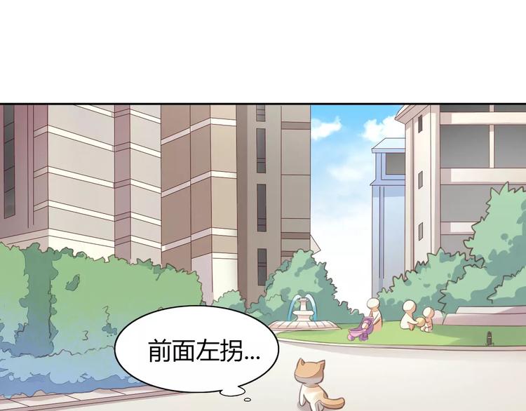 第15话  虚惊一场(1/3)-第15话