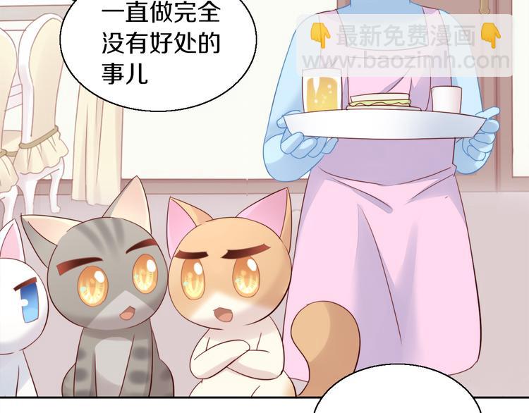 第146话 皮卡的梦想(1/3)-第147话