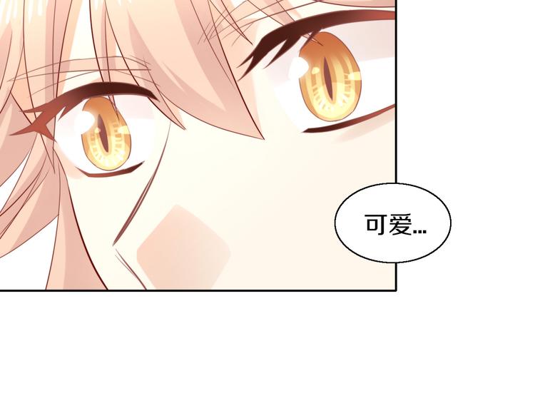 第146话 皮卡的梦想(1/3)-第147话