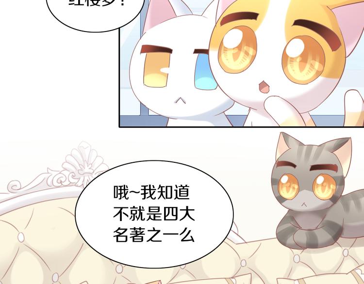 第164话 红楼味道(1/2)-第165话