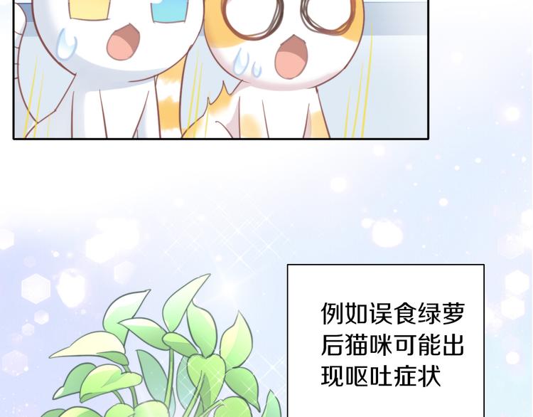 第166话 猫咪花园(1/2)-第167话
