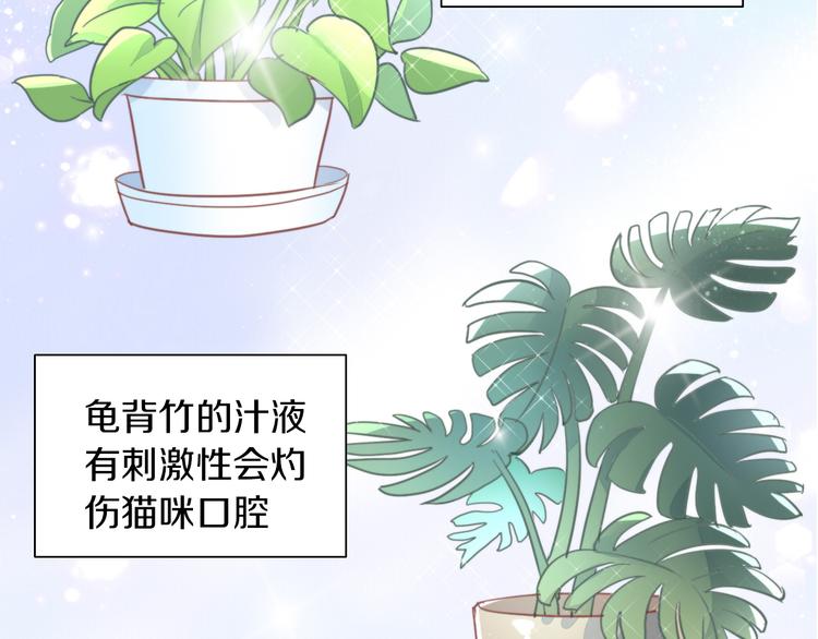第166话 猫咪花园(1/2)-第167话