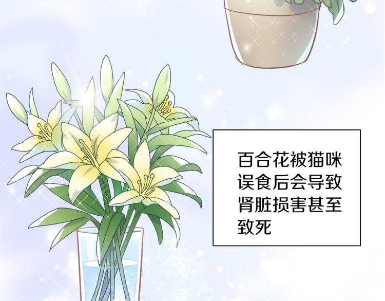 第166话 猫咪花园(1/2)-第167话