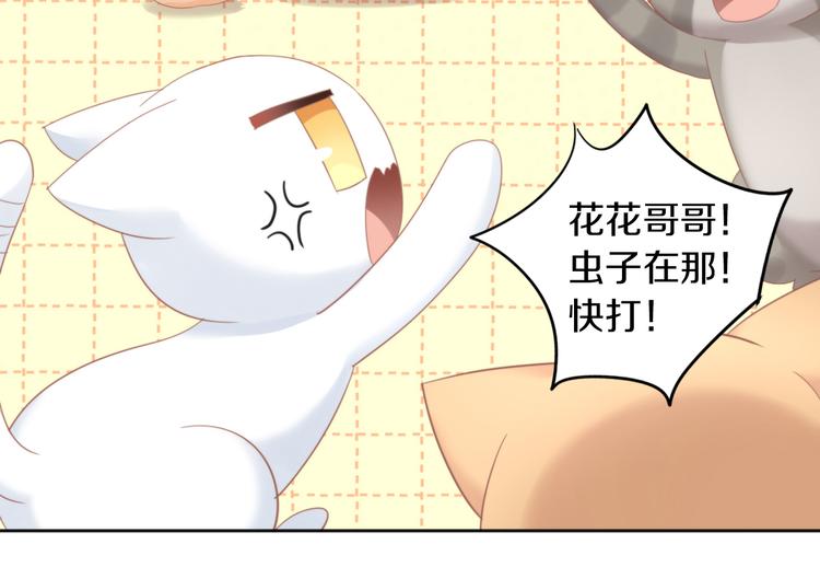 第166话 猫咪花园(1/2)-第167话