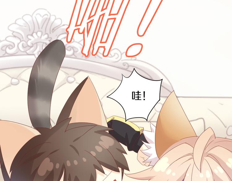 第166话 猫咪花园(1/2)-第167话