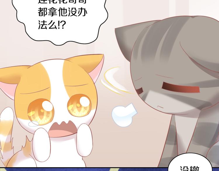 第166话 猫咪花园(1/2)-第167话
