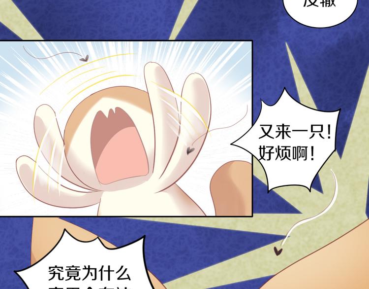 第166话 猫咪花园(1/2)-第167话