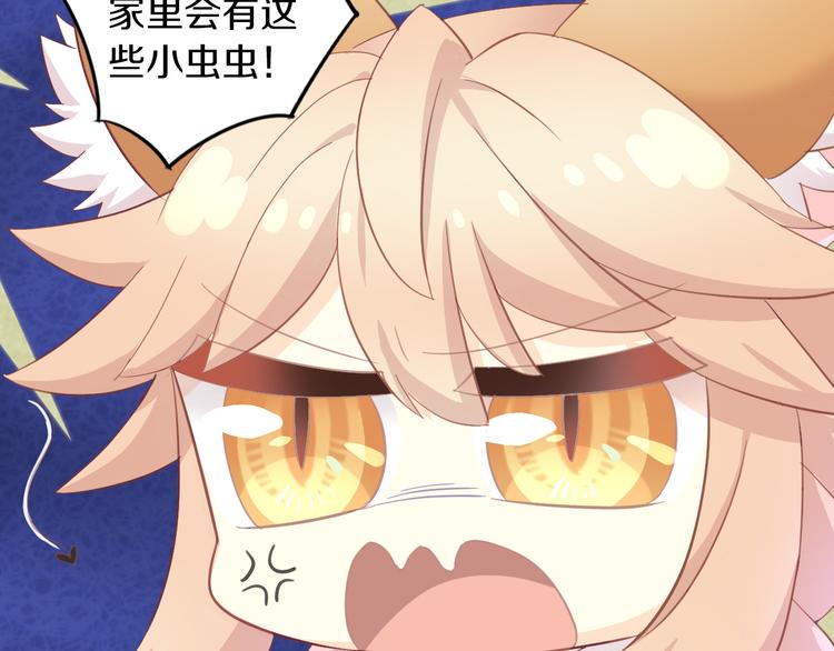 第166话 猫咪花园(1/2)-第167话