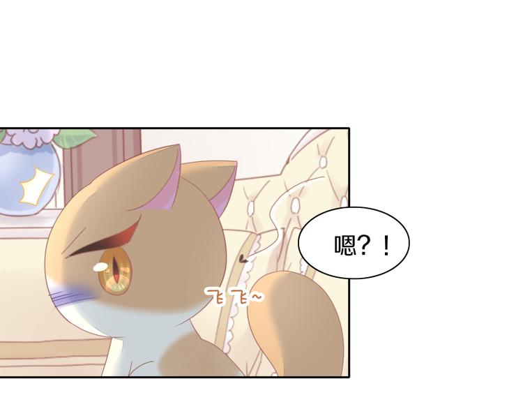 第166话 猫咪花园(1/2)-第167话