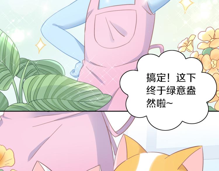 第166话 猫咪花园(1/2)-第167话