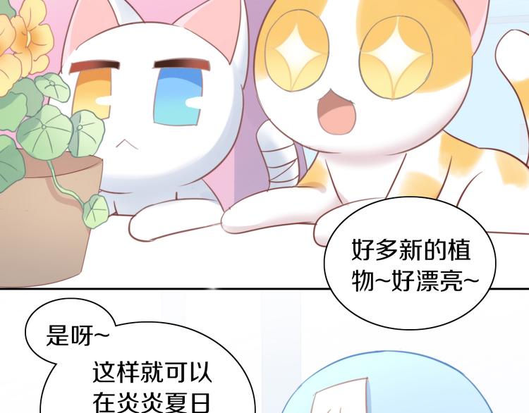 第166话 猫咪花园(1/2)-第167话