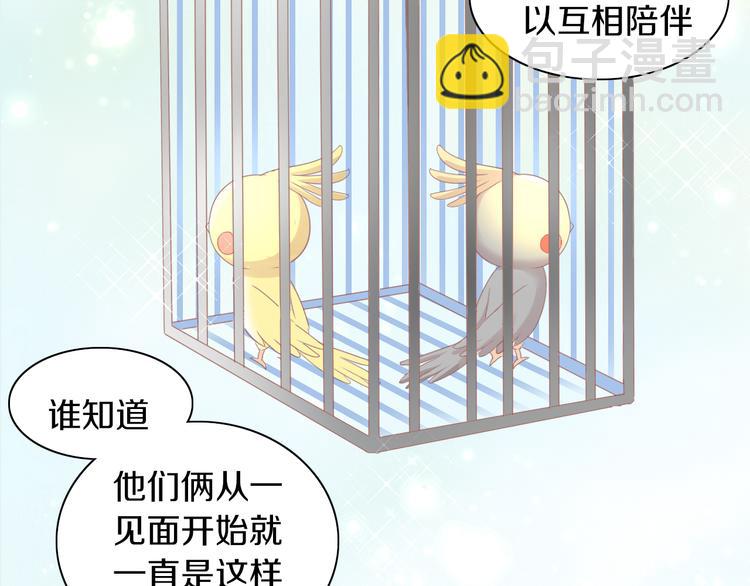 第170话 皮卡和小智(1/3)-第171话