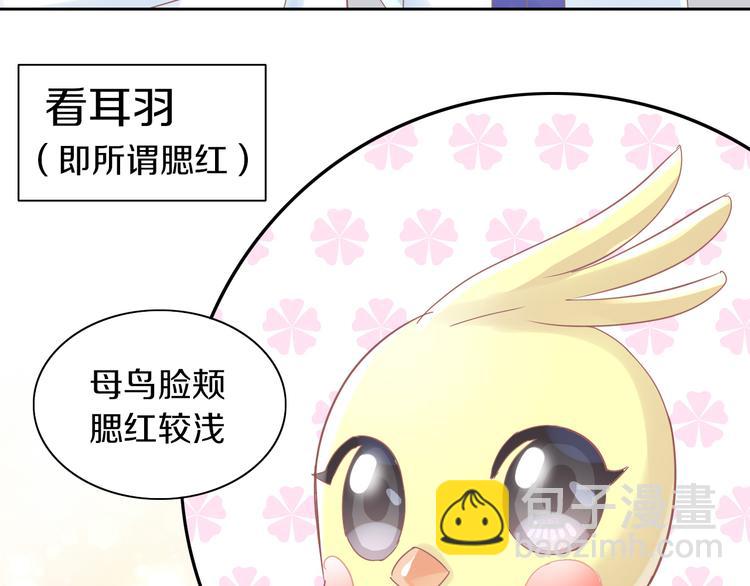 第170话 皮卡和小智(1/3)-第171话