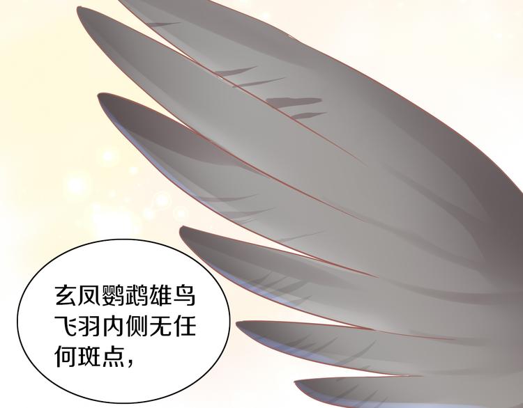 第170话 皮卡和小智(1/3)-第171话