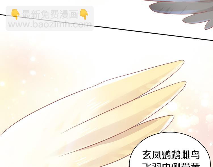第170话 皮卡和小智(1/3)-第171话